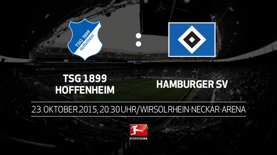 Хоффенхайм - Гамбург. Обзор матча.